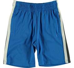 Arin Shorts